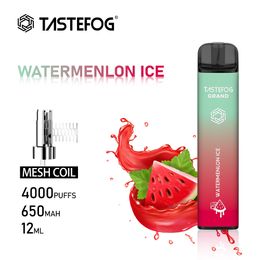 JC Tastefog GRAND Rechargeable 4000 bouffées 0% 2% 5% NC Pastèque Glace Cigarette Électronique Jetable Vape Stylo En Gros