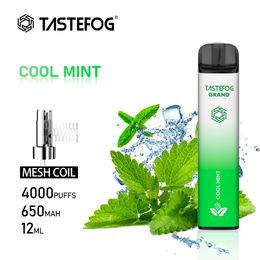 JC Tastefog Grand Oplaadbare 4000Puffs 0% 2% 5% NC Cool Mint Flavour Elektronische sigaretten Disposable Vape Pen Groothandel