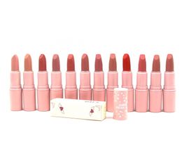Jenner Lipstick Lippenstifte Matte sexy roze buis gemakkelijk te dragen Lange laatste 12 kleuren groothandel make -up lippenstift