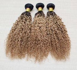 Jerry Curly Ombre Extensiones de cabello Brasileño Onda del cuerpo El cabello humano teje Trama de dos tonos 1B27 1B30 Paquetes de cabello peruano de onda suelta 5430406