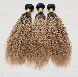 Jerry Curly Extensiones de cabello Ombre Brasileño Onda del cuerpo El cabello humano teje Trama de dos tonos 1B27 1B30 Paquetes de cabello peruano de onda suelta 1196226