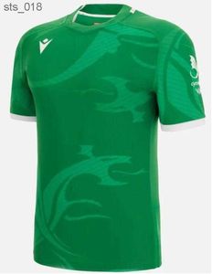 Jerseys Wales JERSEY Fans Tops t-shirt Welsh shirt groot formaat 5xl Aangepaste naam en nummerH240307