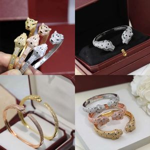 Sieradenontwerper diamanten armband voor dames mannen merk mode cadeau één maat multi -stijl met doos originele kwaliteit