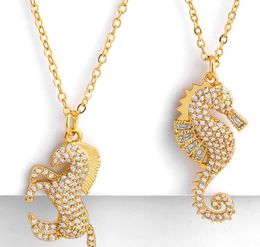 Colliers de bijoux Pendants Collier de chaîne de chevaux Zirconie Jewelry Cumbic Crystal CZ Fashion Charm UD4