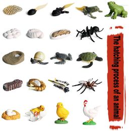 Sieraden zakjes ontwerpen diy 5 set emulationeel dier specimen kip tortoise kikker model muggen mug insect kinderen speelgoed verjaardagscadeau