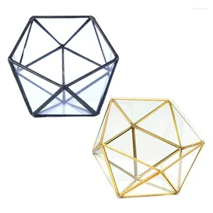 Pochettes à bijoux support de boîte de rangement de Terrarium en verre plante succulente de table géométrique