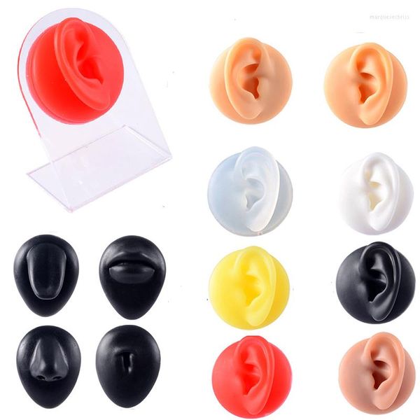 Bijoux Pochettes Simulation Silicone Oreille Nez Nombril Mamelon Modèle Stéréoscopique Ponction Formation Piercings Affichage Outil D'enseignement Kit De Support