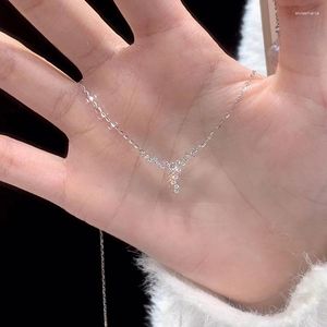 Pochettes à bijoux synthétique Moissanite diamant étoile collier conception féminine sens Zircon Xinghe clavicule chaîne accessoires simples
