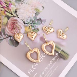 Bijoux Sier aiguille mode personnalité amour femmes tendance INS boucles d'oreilles E370