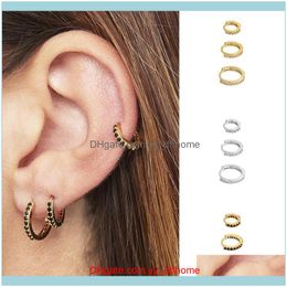 Sieraden925 Sterling Sier Small Zirkon oorbellen voor vrouwen punctie Pendientes Minimalisme Hie Circle Hoop Earring Sieraden Druppel aflevering 2021