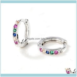 Sieraden round regenboog kristal hoepel oorbellen 925 sier European American Style zirkoon mode sieraden voor vrouwen verjaardagscadeaus hie drop deliv