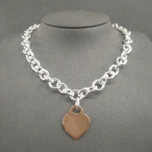 sieraden ontwerper hartvormige hanger charme ketting merk sieraden ketting met doos geplatineerd