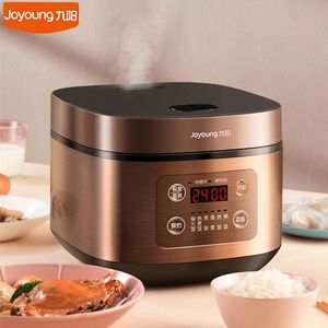 Joyoung Electric Rice Cooker 4L 5L Huishoudelijke multifunctionele rijst kookpot Nitaanval voering 24 uur Reservering voor keuken 220V