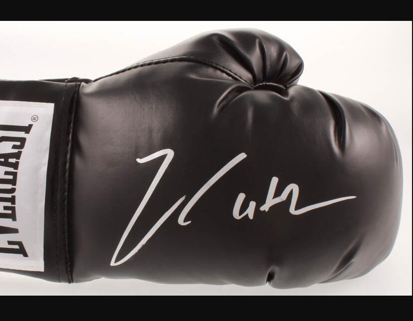 Julio Cesar Chavez Ali Canelo Alvarez Materiais assinados Autograf Signated Autographed Auto Boxing luvas