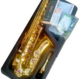 Júpiter Jas-567 Alto EB Tune Saxophone Nuevo llegada de latón Gold Lacquer Music Instrument E-Flat Sax con accesorios de casos