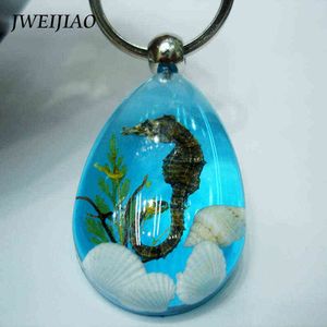 Jweijiao Water Drop Type Hars Stone Crystal Natural Shell Sea Horse Hanger Small Ornament Sleutelhangers N0016 G1019