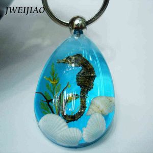 JWEIJIAO Type de goutte d'eau résine pierre cristal coquille naturelle pendentif cheval de mer petit ornement porte-clés N0016 G1019