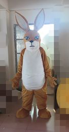 Costumes de mascotte de kangourou Thème animé Animal Cospaly Mascotte de dessin animé Personnage Halloween Costume de fête de carnaval