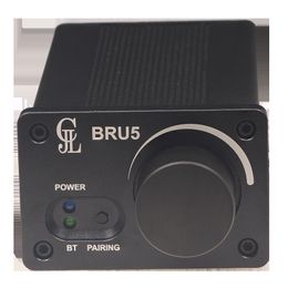 Karaok Player TPA3255 2x300W Bluetooth -versterker BT50 Module 20 Stereo HighPower Bru5 DSP PC UI -besturingselement 230331