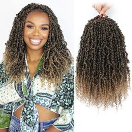 Karida Yanky Twist Crochet Traids 12inch Présistation de la passion Twist Crochet Hair prélem