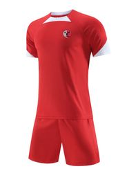 Kashima Antlers Vêtements de sport pour enfants et adultes, tissu en maille d'été, vêtements de sport respirants à manches courtes, chemise de sport de loisirs en plein air