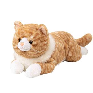 Kawaii Creative Shiba Inu Husky Polar Bear Cat Peluche speelgoed Gevulde zachte dierenkussen Mooie poppen voor Ldren Baby Gifts J220729