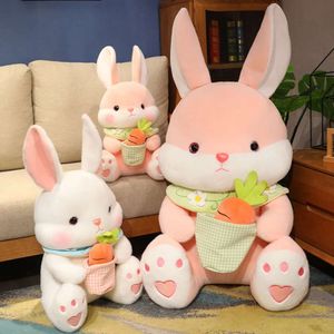 Kawaii Fluffy pluche wortel Bunny knuffel plushie knuffel knuffel wit konijn met wortelen in zaktas cadeau voor meisjesjongen verjaardag