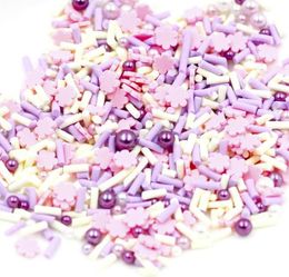 Kawaii Polymère Argile Coeur Sprinkles et Perle 20g Faux Aliments DIY Faux Chocolat Garnitures Bijoux Résultats Résine Art Supplies1097262