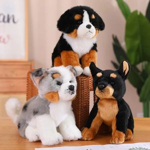 Kawaii Realistische Puppy Knuffels Leuke Simulatie Doberman Berner Sennenhond Knuffels Huisdier Pop Kinderen Gift Hoge Kwaliteit 240202