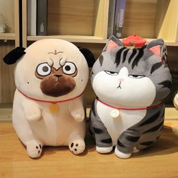 Kawaii Shar Pei peluche jouet doux en peluche dessin animé animal chat poupée de haute qualité bébé jouet oreiller décoration de la maison filles cadeau d'anniversaire 240123