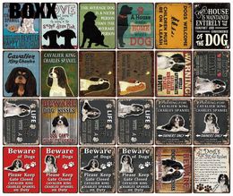 Kelly66 Règles de chien d'avertissement avec Cavalier King Charles Spaniel Metal Sign Home Decor Bar Wall Art Painting 2030 cm Size1026494