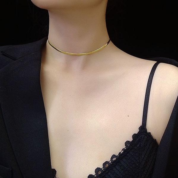 Kendou Double serpent os chaîne collier titane acier niche conception Simple mode polyvalent bijoux accessoires