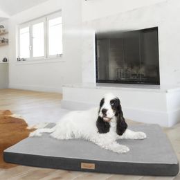 kennels pennen Hond Huisdierbed Droomhuisdiermatras Antislip huisdiermatras Dingen voor honden Huizen en habitats Kussenbenodigdheden Matproducten Home 231130