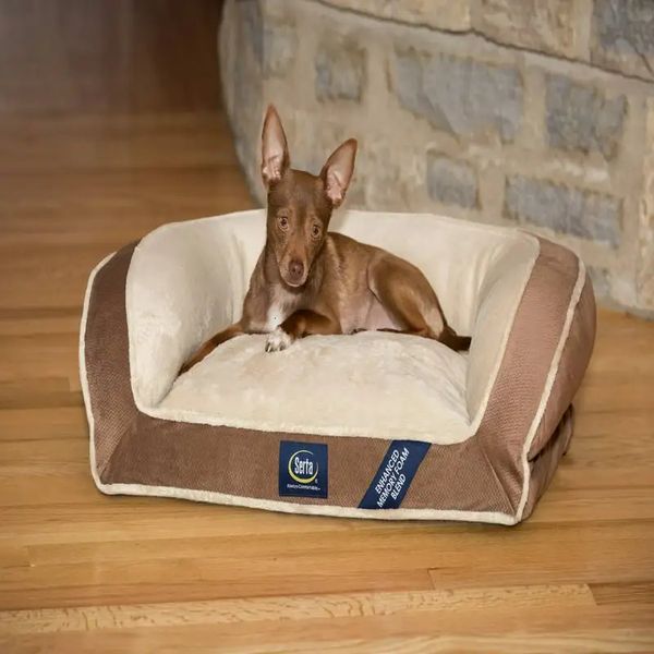 Chenils stylos mousse à mémoire de forme Mini canapé lit pour chien en marron petit Cachorro grand lit pour chien coussinets lits pour chiens tapis à priser Ca 230928