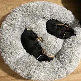 kennels pens Super grand chien canapé-lit rond chien lit en peluche chenil lit tapis animal chat lit hiver chaud dormir tapis de sol pour grand chien 231201