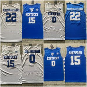 Kentucky Wildcats Basketball Jersey 0 Rob Dillingham 15 Reed Sheppard 22 Walker Horn Mens Jerseys allemaal gestikt