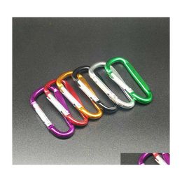 Porte-clés Mousqueton en aluminium en forme de D Boucle de verrouillage Cam extérieure Porte-clés Clip Crochet Randonnée Porte-clés robustes DHS P75Fa Drop Delivery Dhd4B