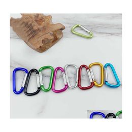 Porte-clés Mousquetons Clips De Mousqueton De Verrouillage Légers Pour La Randonnée En Plein Air Laisse De Chien Bouteille D'eau Porte-clés Porte-clés Drop De Dhrs9