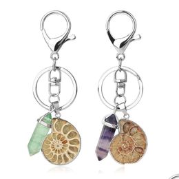 Porte-clés Porte-clés de voiture de moto Porte-clés en pierre naturelle Ammonite Shell Fluorite Reiki Pendentif Porte-clés Porte-sac Trinket Drop Delive Dhbzu