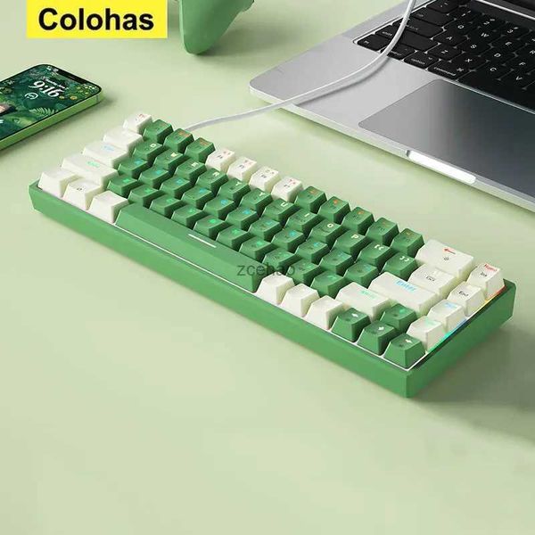 Claviers Clavier mécanique filaire ergonomique 68 touches rvb Hotswap type-c clavier de jeu PBT claviers claviers pour PC ordinateur portable L240105