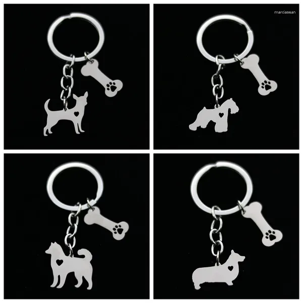 Keychains 10pcs / lot Schnauzer Chihuahua Charmes pour chiens avec os en acier inoxydable miroir polonais cadeau souvenir