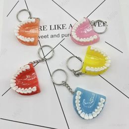 Keychains 2024 Funny Resin Tooth Key Keten Tandarts Pendant Simulatie Mini Debures Keychain voor zakhangende ornament -auto -ringen geschenken