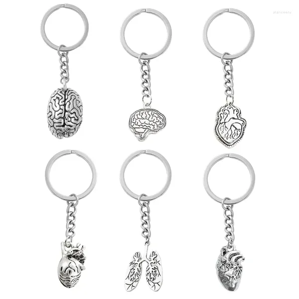 Porte-clés Organes 3D Pathologiste Porte-clés Mode Cerveau Organe Coeur Porte-clés Neurologue Parties du corps humain Pendentif Bijoux