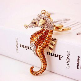 Keychains 3d Seahorse Keychain Horse Clain Key Key Suptor Portachiavi Chaveiro Llaveros Bag Charmin