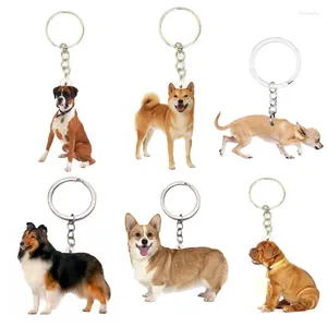 Porte-clés 6pcs / lot chien acrylique chihuahua porte-clés animaux chiens sac à dos porte-clés voiture porte-clés anneau cadeaux pour femmes hommes lui 2023