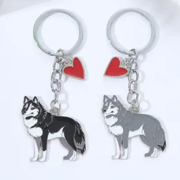 Keychains Alaskan Malamute Keychain Car Chains clés Pet Dog Pendant sac charme 24pcs / Lot Mix Wholesale