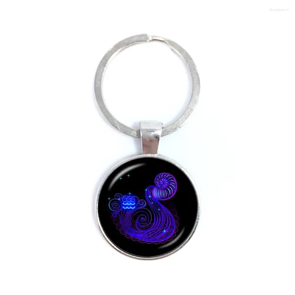 Porte-clés Signes du zodiaque Verseau/Poissons Porte-clés Classique Douze Constellations Cabochon Verre Temps Gem Anniversaire StarSign Cadeau