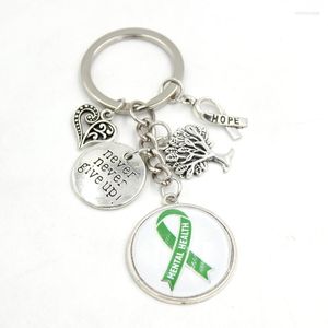 Schlüsselanhänger Ankunft Green Ribbon Mental Health Cancer Awareness Schmuck Never Give Up Hope Charms Schlüsselanhänger Schlüsselanhänger Geschenke