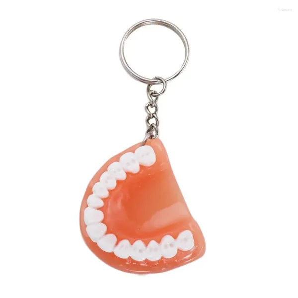 Porte-clés cadeau dentaire décoration Simulation résine dents forme dent porte-clés prothèse porte-clés pendentif