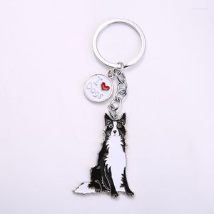 Keychains direct verkopen fabriek metaal legering glazuur kleur huisdier sleutelhang ketting rand collie hondenhouder dierenliefhebbers decor sieraden custom enek22